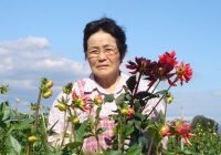 寿蔵夫人
