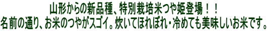 �R�`����̐V�i��A���ʍ͔|�Ă�P�o��I�I ���O�̒ʂ�A���Ă̂₪�X�S�C�B�����Ăق�ڂ�E��߂Ă������������Ăł��B