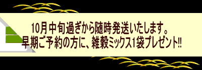 10�����{�߂����琏�������������܂��B  �������\��̕��ɁA�G���~�b�N�X1�܃v���[���g!!